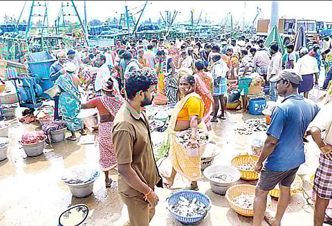கடலூரில் 6 நாட்களுக்கு பிறகு மீன்பிடிக்க சென்ற மீனவர்கள் - அதிகளவு மீன்கள் சிக்கியதால் மகிழ்ச்சி