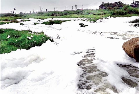 திருப்பூரை அடுத்த காசிப்பாளையத்தில் நொய்யல் ஆற்றில் நுரையுடன் சென்ற சாயக்கழிவுநீர் - நடவடிக்கை எடுக்க சமூக ஆர்வலர்கள் கோரிக்கை