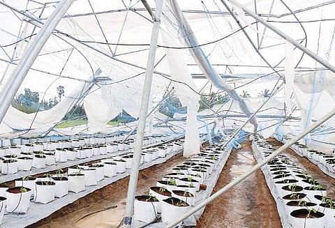 புயல் சீரமைப்பு பணிகளை மேற்கொள்ள கோரி திருவரங்குளத்தில் 3 இடங்களில் சாலை மறியல்; போலீஸ் தடியடி