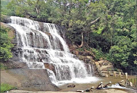 மேகமலை அருவிக்கு வரும் வாகனங்கள் தணிக்கை செய்யப்படுமா? - சுற்றுலா பயணிகள் எதிர்பார்ப்பு