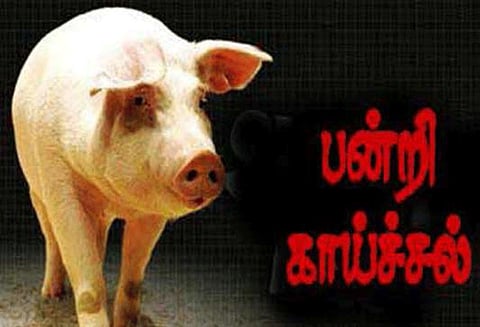 தென்காசி அருகே பன்றிக் காய்ச்சலுக்கு காவலாளி பலி மருத்துவ குழுவினர் முகாம்