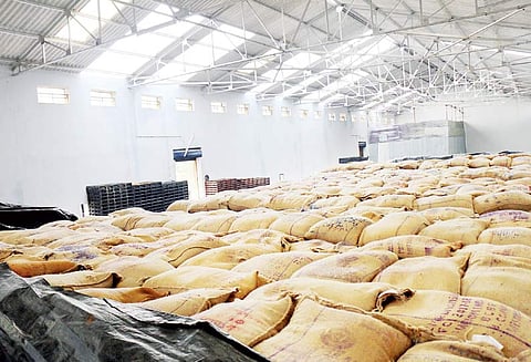 ‘கஜா’ புயலால் மேற்கூரை பறந்து சேதம்: நுகர்பொருள் வாணிப குடோனில் இருந்த அரிசி மூட்டைகள் மழைக்கு நாசம்