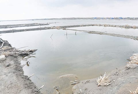 கஜா புயல் தாக்கிய வேதாரண்யம் பகுதியில் 35 ஆயிரம் ஏக்கர் உப்பளங்கள் பாதிப்பு; 1 லட்சம் டன் உப்பு சேதம்