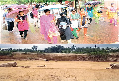 மாவட்டம் முழுவதும் பரவலாக மழை: செங்கால் ஓடையில் திடீர் வெள்ளப்பெருக்கு