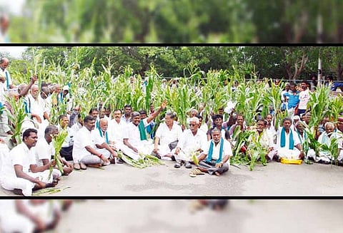 மக்காச்சோள பயிரில் படைபுழு தாக்குதல்: நிவாரணம் கேட்டு கலெக்டர் அலுவலகத்தை விவசாயிகள் முற்றுகை - குறைதீர் கூட்டத்தில் பரபரப்பு