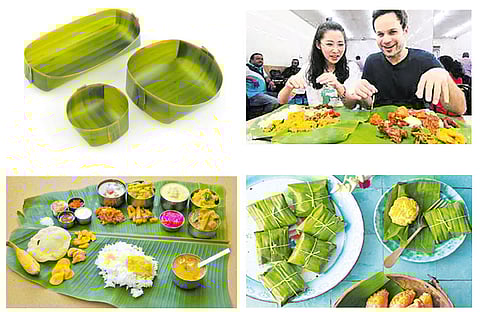 வாழை இலை.. வாழ்வளிக்கும் இலை!