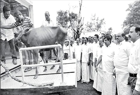 ஒரத்தநாடு பகுதியில் கஜா புயலால் பாதிக்கப்பட்ட கால்நடை உரிமையாளர்கள் 46 பேருக்கு ரூ.10¾ லட்சம் நிவாரண உதவி - அமைச்சர் செங்கோட்டையன் வழங்கினார்