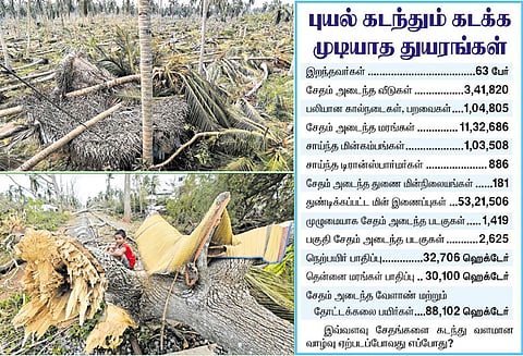 கதற வைத்த ‘கஜா’