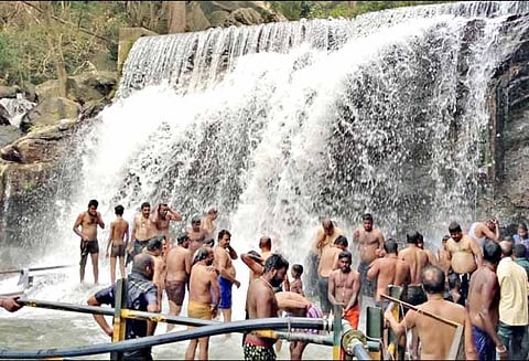 நீர்வரத்து சீரானது: சுருளி அருவியில் குளிக்க சுற்றுலா பயணிகளுக்கு அனுமதி