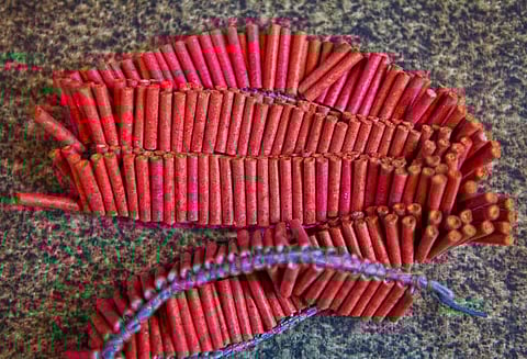 பட்டாசு தொழில் சட்டமும், பொருளாதாரமும்...!