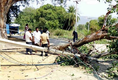 வேப்பனப்பள்ளி அருகே: பழமையான மரக்கிளை முறிந்து விழுந்தது - மின்கம்பங்கள் உடைந்து சாலையில் விழுந்ததால் பரபரப்பு