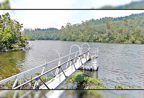 13 நாட்களுக்கு பிறகு பேரிஜம் ஏரிக்கு சுற்றுலா பயணிகள் செல்ல அனுமதி