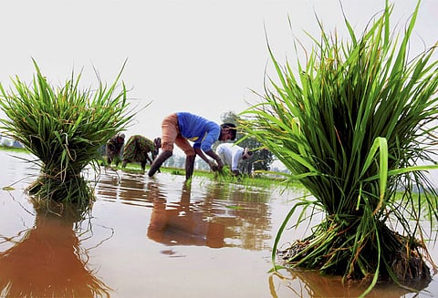 டெல்லியில் குவியும் விவசாயிகள்: ‘நாடாளுமன்றத்தை நோக்கி செல்வதை தடுத்தால் நிர்வாணப் போராட்டம்’ தமிழக விவசாயிகள் எச்சரிக்கை