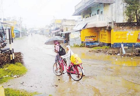 பெரம்பலூர், அரியலூரில் பலத்த மழை