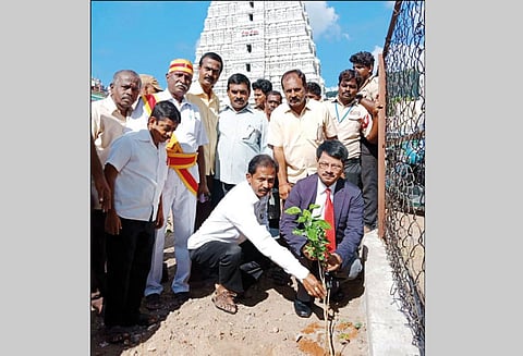 அருணாசலேஸ்வரர் கோவில்: ஆக்கிரமிப்பு அகற்றிய இடத்தில் மலர் செடிகள் - மாவட்ட முதன்மை நீதிபதி நட்டார்