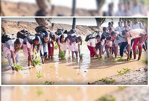 திருவேங்கடம் அருகே: பள்ளி மாணவர்கள் நாற்று நடும் போராட்டம் - சாலையை சீரமைக்க வலியுறுத்தல்