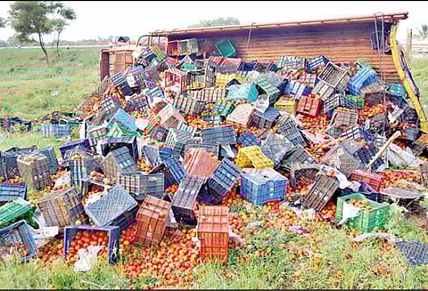 வேடசந்தூர் அருகே விபத்து: லாரிகள் மோதல்; 4 டிரைவர்கள் காயம்