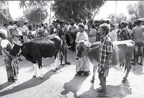 கால்நடை மருத்துவமனையை மீண்டும் திறக்கக்கோரி ஆடு,மாடுகளுடன் பொதுமக்கள் சாலைமறியல்