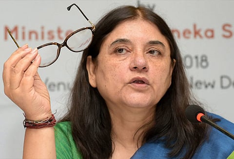 பாலியல் புகார்களை விசாரிக்க விசாரணை குழுவை அமைக்க அரசியல் கட்சிகளுக்கு மேனகா காந்தி கடிதம்