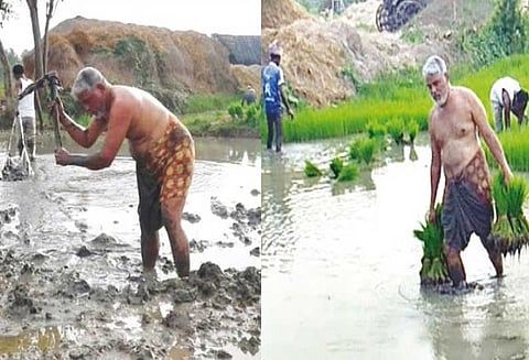 சொந்த கிராமத்தில் வயலில் தொழிலாளர்களுடன் வேலை செய்த அமைச்சர் கமலக்கண்ணன்; கவர்னர், முதல்-அமைச்சர் பாராட்டு