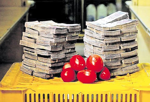 ஒரு கிலோ தக்காளியின் விலை 50 லட்சம்!