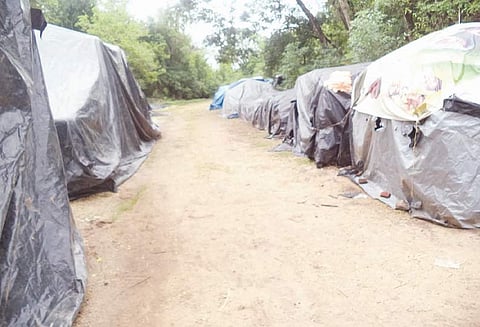 மாதிரவேளூரில் நெல் கொள்முதல் நிறுத்தம் 4,000 நெல் மூட்டைகள் வீணாகும் அபாயம்