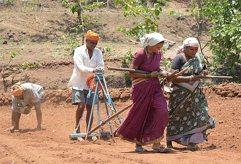 விவசாய கடன்களாக ஒரு வருடத்தில் 59,000 கோடி ரூபாய் 615 கணக்குகளுக்கு சென்றுள்ளது!