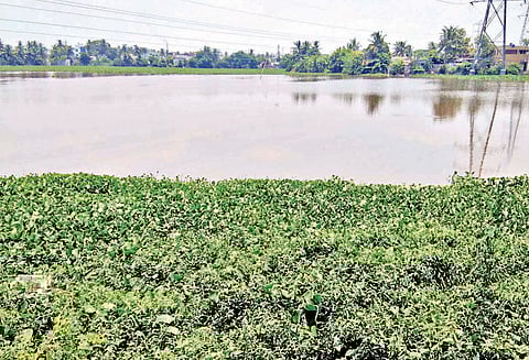வெள்ள பாதிப்புகளை தடுக்க வீரராகவன் ஏரியை சீரமைக்க வேண்டும்