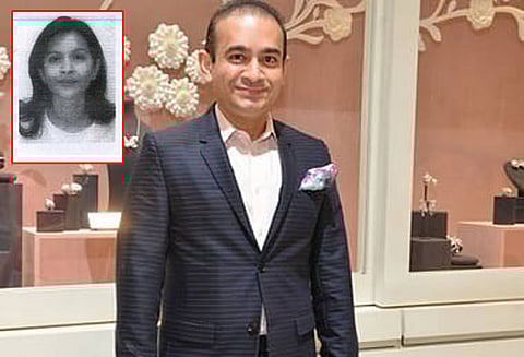 பஞ்சாப் நேஷனல் வங்கி மோசடி வழக்கு; நிரவ் மோடியின் சகோதரிக்கு எதிராக ரெட் கார்னர் நோட்டிஸ் தாக்கல்