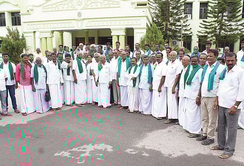 வறட்சியால் கருகும் மா, தென்னை மரங்களுக்கு உரிய இழப்பீடு வழங்க வேண்டும்