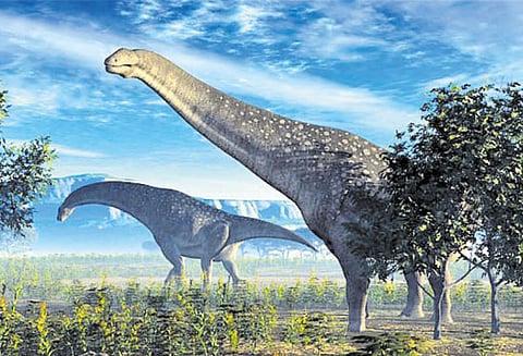 அண்டார்டிகாவில் உலவிய டைனோசர்கள்!