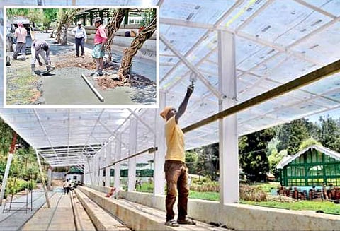 தாவரவியல் பூங்காவில், மலர் மாடங்களை விரிவாக்கம் செய்யும் பணி தீவிரம்