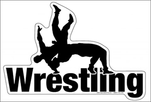 அமெரிக்காவில் நடந்த பிரமாண்ட பொழுதுபோக்கு மல்யுத்த போட்டி ஏராளமான ரசிகர்கள் கண்டுகளித்தனர்