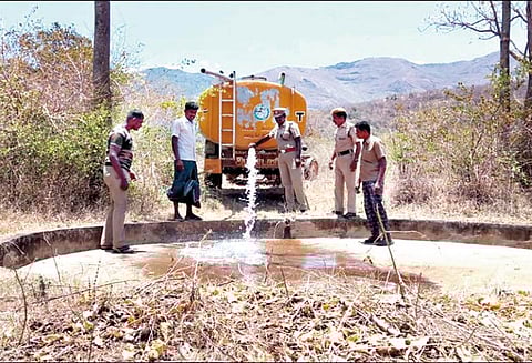 வெள்ளிமலை வனப்பகுதியில், விலங்குகளின் தாகம் தீர்க்க தொட்டிகளில் தண்ணீர் நிரப்பும் பணி