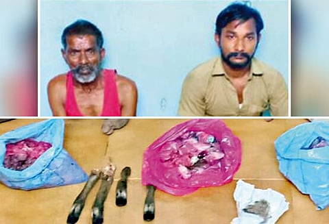 கொடைரோடு அருகே, மான் வேட்டையாடிய 2 பேர் சிக்கினர்