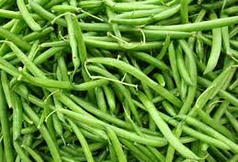 சேலத்தில், வரத்து குறைவால் காய்கறிகள் விலை உயர்வு பீன்ஸ் கிலோ ரூ.110–க்கு விற்பனை