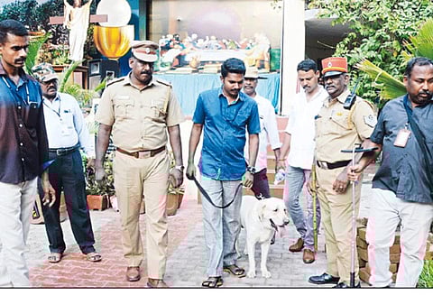 இலங்கை சம்பவம் எதிரொலி: கிறிஸ்தவ தேவாலயங்களில் வெடிகுண்டு சோதனை