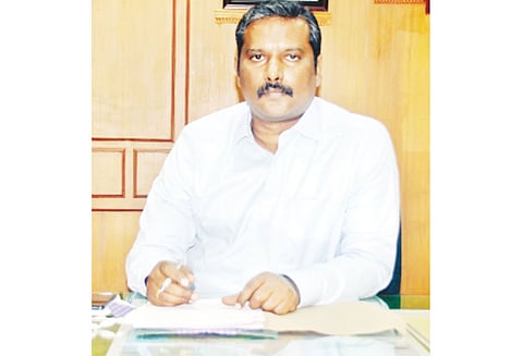 மழை, காற்றில் இருந்து தென்னை மரங்களை காக்க மேற்கொள்ள வேண்டிய வழிமுறைகள் கலெக்டர் விளக்கம்