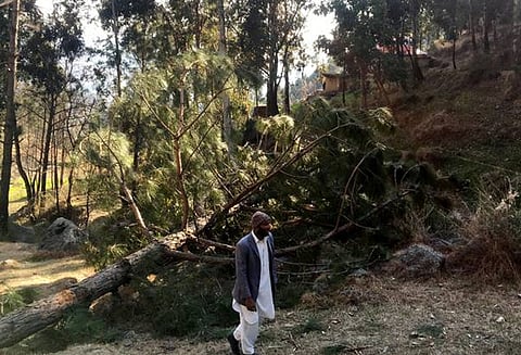 பாலகோட் விமானப்படை தாக்குதலில் எங்களுக்கு எந்தஒரு பாதிப்பும் கிடையாது - பாகிஸ்தான் ராணுவம்