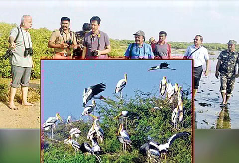 காரங்காடு கிராமத்தில் பறவைகள் கணக்கெடுப்பு பணி