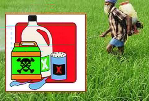 காலாவதியான பூச்சிக்கொல்லி மருந்துகள் பதுக்கல் குடோன்களில் வெளி மாவட்ட அதிகாரிகள் ஆய்வு