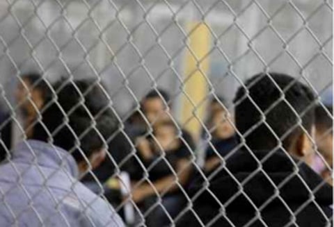 விசா மோசடியில் கைதான இந்திய மாணவர்களுக்கு அமெரிக்க எம்.பி.க்கள் ஆதரவு