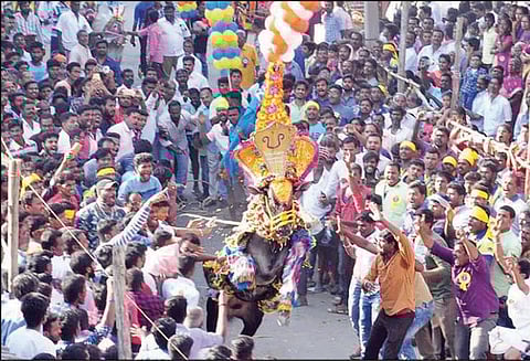 ராயக்கோட்டை அருகே 500 காளைகள் பங்கேற்ற எருது விடும் விழா