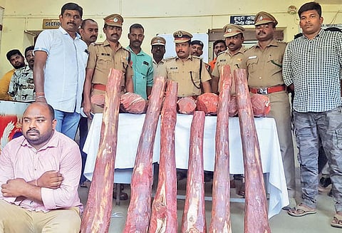 எக்ஸ்பிரஸ் ரெயிலில் செம்மரக்கட்டைகள் கடத்த முயற்சி, 600 கிலோ பறிமுதல்; ஒருவர் கைது