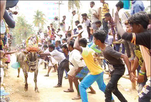 பர்கூர் அருகே 200 காளைகள் பங்கேற்ற எருது விடும் விழா
