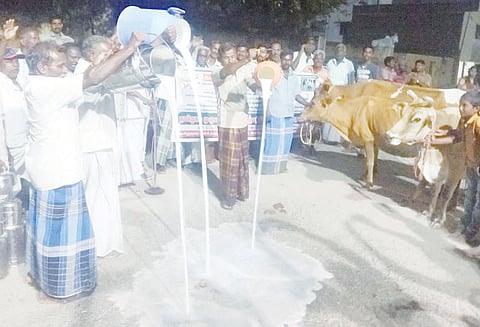 கோரிக்கைகளை வலியுறுத்தி பாலை தரையில் ஊற்றி உற்பத்தியாளர்கள் போராட்டம்