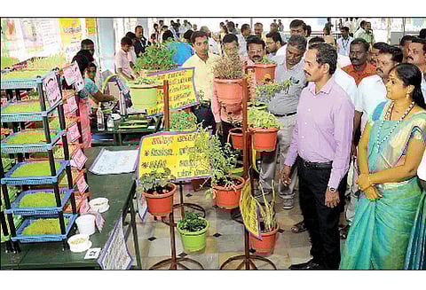 கிருஷ்ணகிரி அரசு பள்ளியில் மாவட்ட அளவிலான அறிவியல் கண்காட்சி கலெக்டர் பார்வையிட்டார்