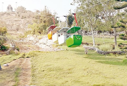 பராமரிப்பு பணி முடிந்து பழனி கோவிலில் ரோப்கார் சேவை தொடக்கம்