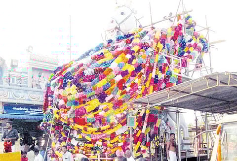 பெருங்காரையடி மீண்ட அய்யனார் கோவில் மாசி மக திருவிழா: குதிரை சிலைக்கு காகித மாலைகள் குவிந்தன