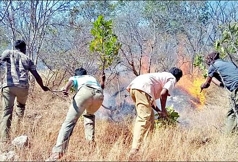 வனப்பகுதியில் காட்டுத்தீயை கட்டுப்படுத்த நவீன உபகரணங்கள் வழங்கப்படுமா?